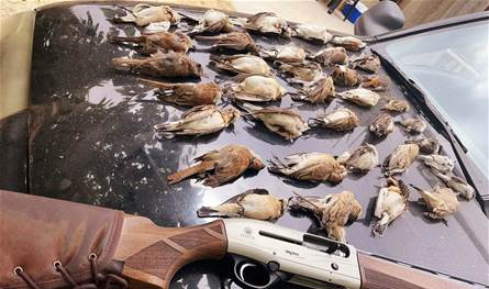 Random fishing in Lebanon: hobby or environmental crime