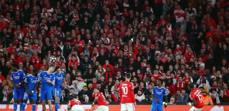 بنفيكا يعلق اشتراكات 5 مشجعين بسبب مزاعم عنصرية