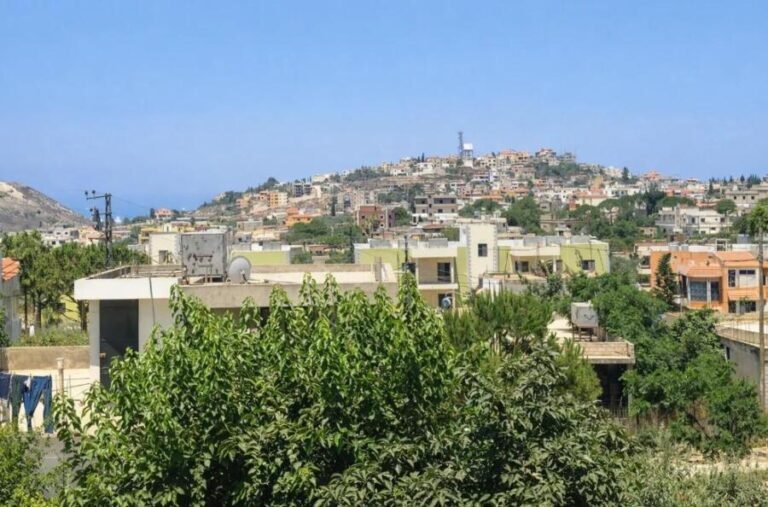 أحرقت 6000 يورو.. تفاصيل جديدة في ملف عميل أنصار