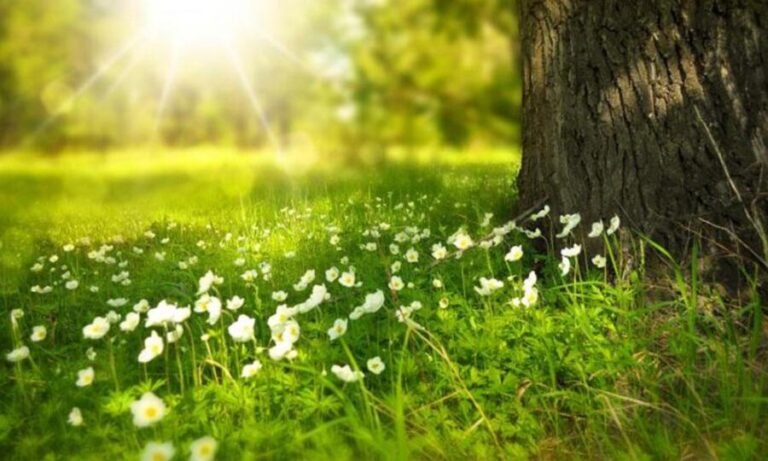 الطقس الربيعي يطرق أبواب لبنان