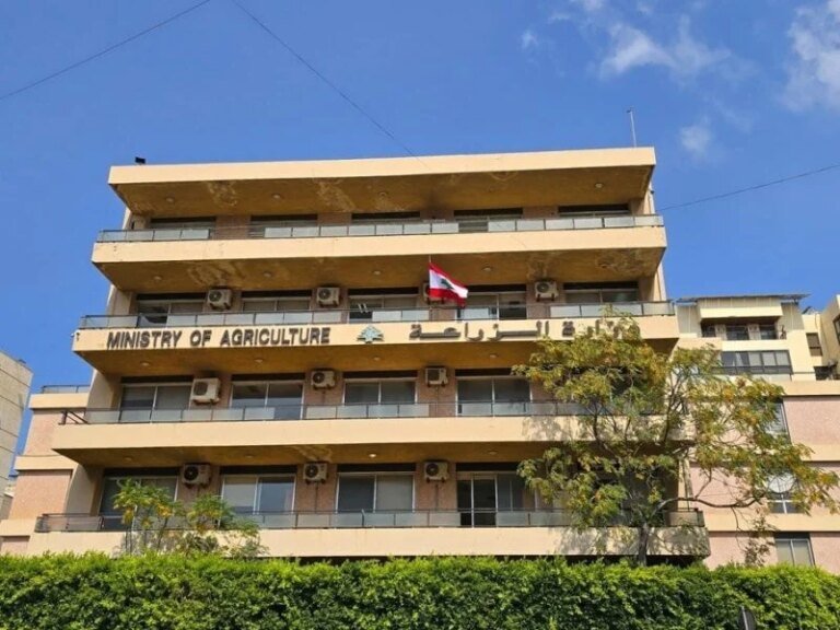 من المزرعة إلى النظام الرسمي: دعوة لتسجيل بيانات المزارعين