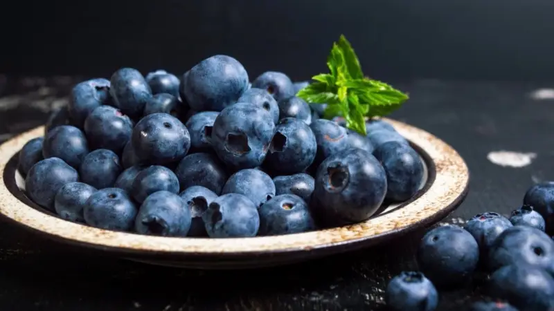 خبراء التغذية يوضحون: هذه هي الأسباب التي تجعل التوت الأزرق غذاءً مفضلًا يوميًا
