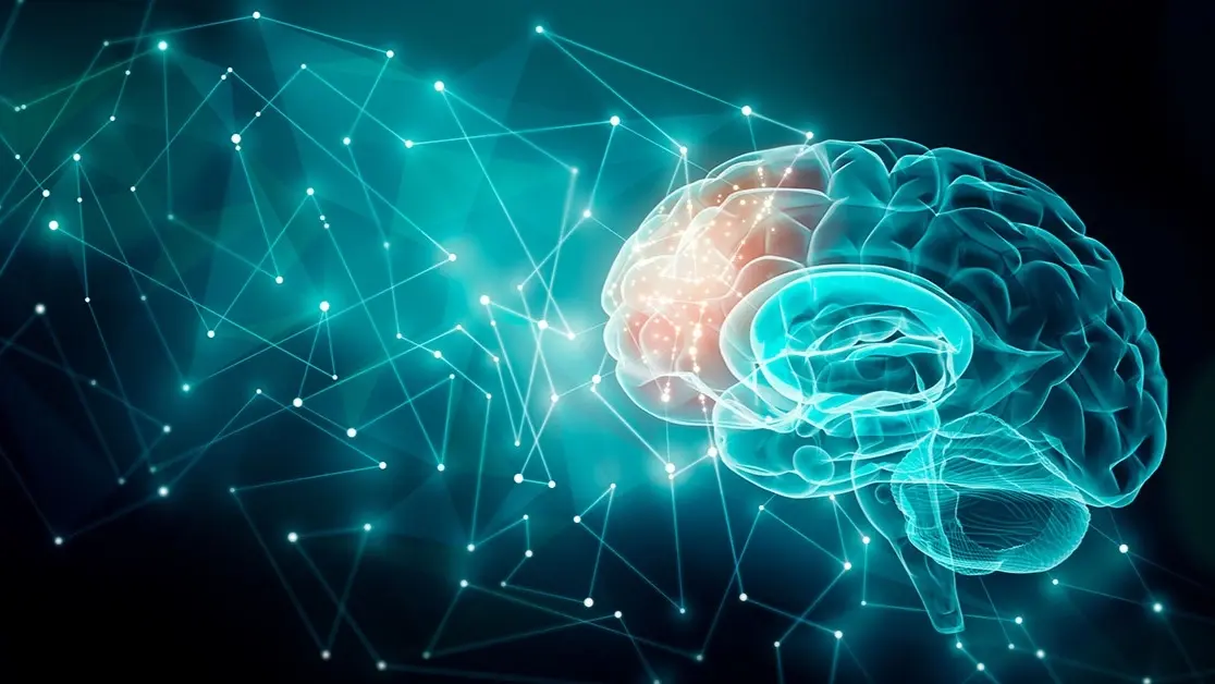 الدماغ: آلية فريدة للحفاظ على الذكريات رغم التحولات في الإشارات العصبية