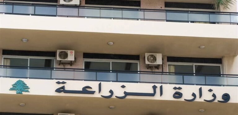 إجراءات صارمة ضد الممارسات الاحتكارية لحماية المستهلكين من ارتفاع الأسعار