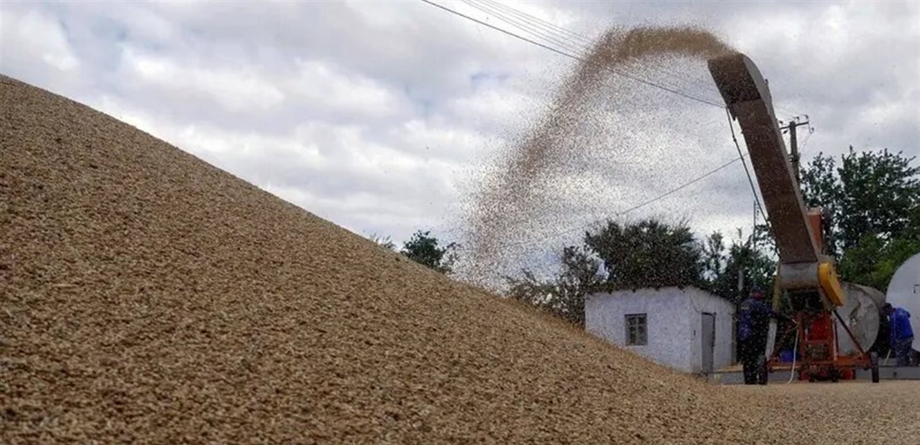 فوز شركة "سي إتش إس" بمناقصة توريد الشعير إلى الأردن