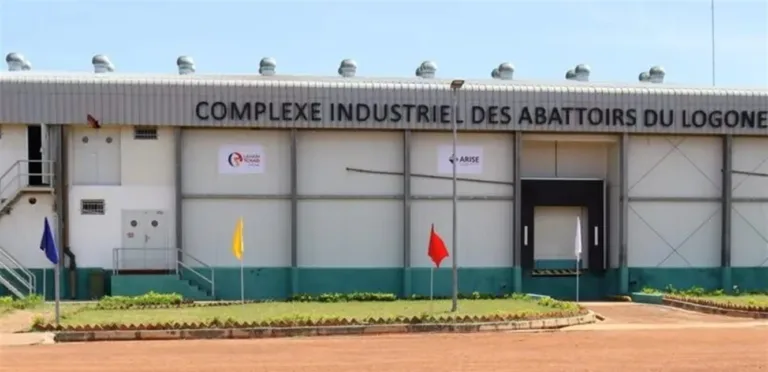 “أرايز” تخطط لاستثمار 3 مليارات دولار في كينيا على مدى 5 سنوات