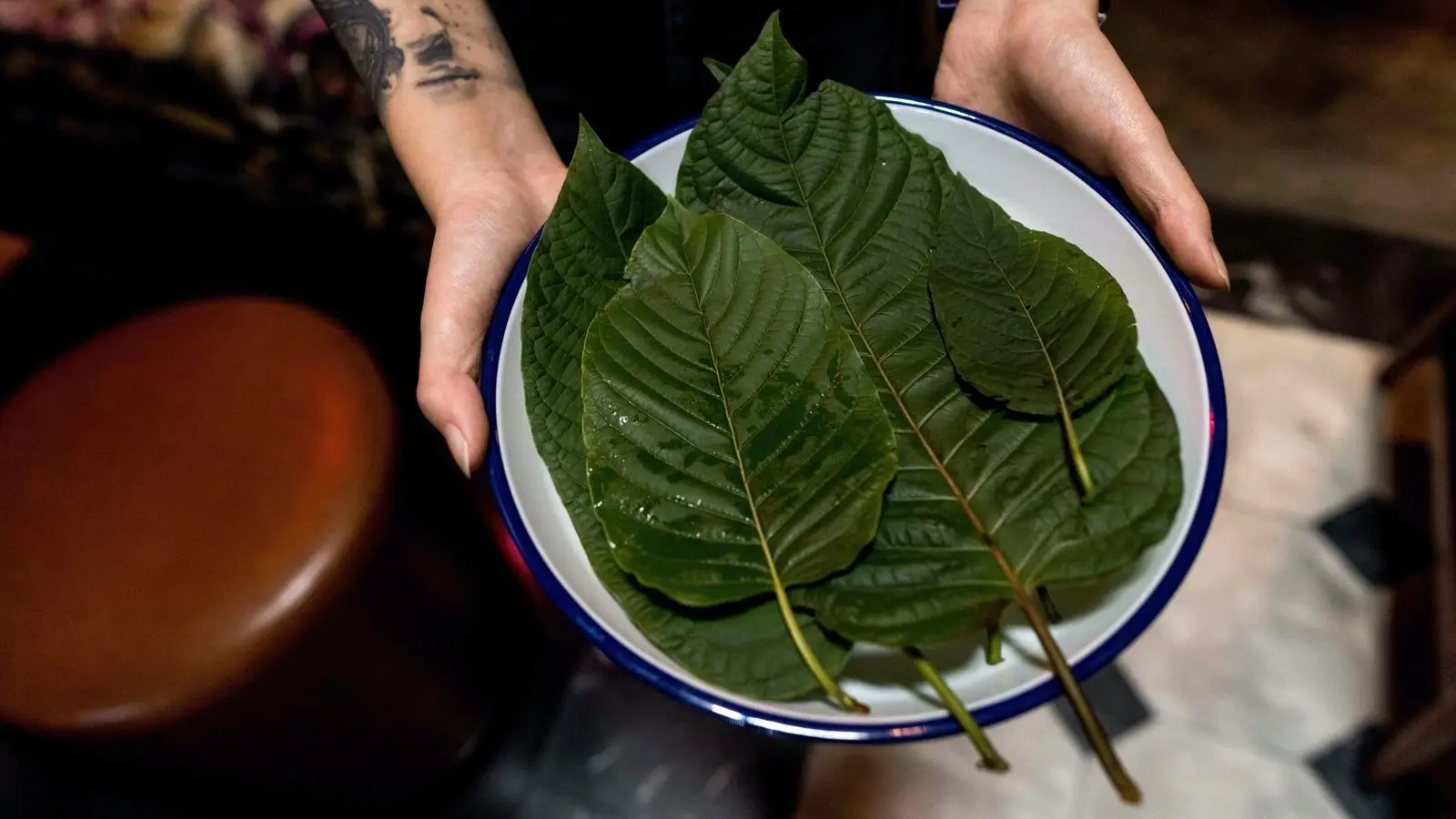 القرطوم: تحذيرات متزايدة في أمريكا من مخاطر هذا المكمل العشبي