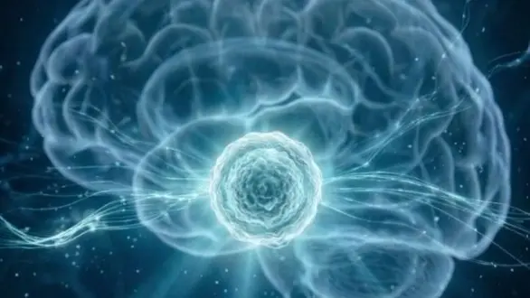 "أبوظبي للخلايا الجذعية": تطوير تكنولوجيا رائدة لإنتاج خلايا دماغية من جسم المريض نفسه