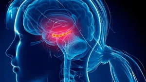 عنوان جديد: خطوات بسيطة لتقليل عمر دماغك البيولوجي خلال 3 أشهر