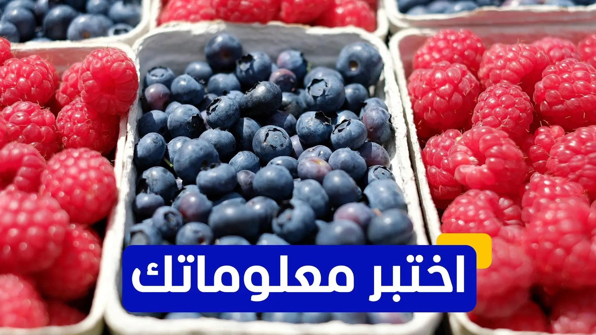 اختبر معلوماتك - ما الاسم العلمي للفاكهة المعروفة باسم "تفاح الحب"؟