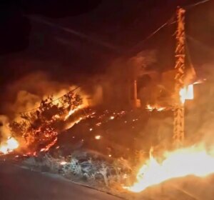 حريق في أحراج الشنبوق بالقبيات.. والدفاع المدني يتدخل (فيديو)