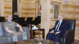 هيكل في السرايا… وملفات الجنوب على طاولة سلام