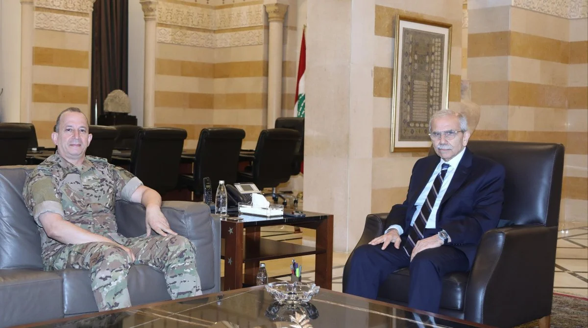 هيكل في السرايا... وملفات الجنوب على طاولة سلام